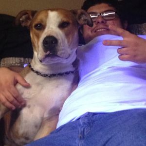 Meet your Posher, Angel